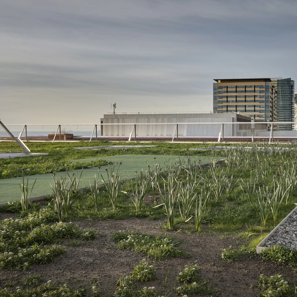 Terrat Viu, Edificio Fòrum